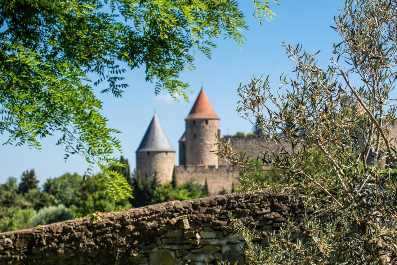 L'Ecrin De La Cite, Coeur De Vignes - Vivez Une Experience Inoubliable ! Каркасон Екстериор снимка